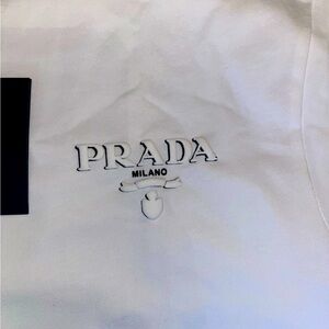 Size L, Prada Shirt… Very Demure, Very Classy